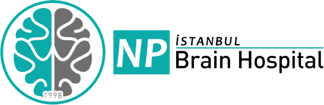 NPISTANBUL Logo